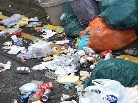 Scheme will tackle litter hotspots