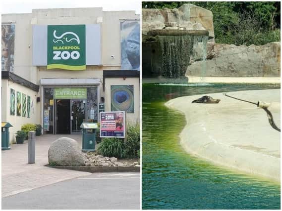 Chemical leak puts Blackpool Zoo staff in hospital