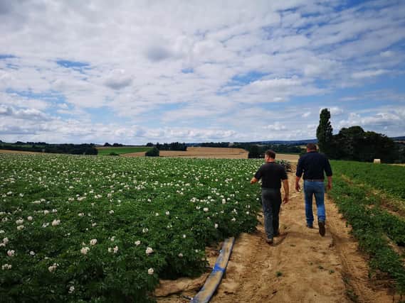 Levity Crop Science is targeting France
