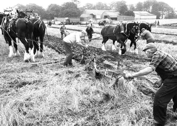Ploughing match under way in Lancashire in the 1980s