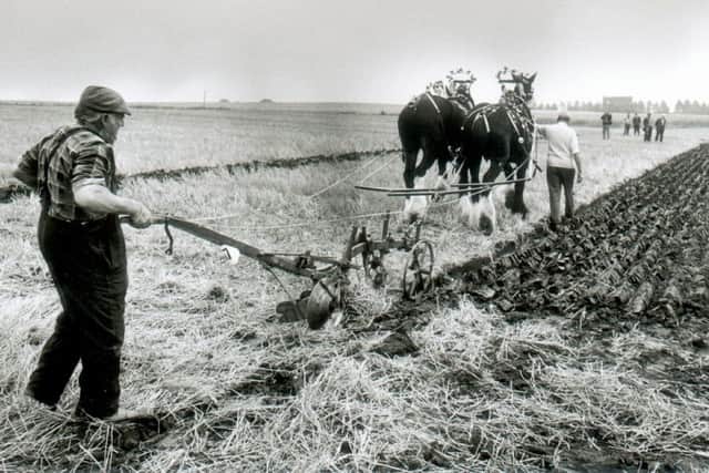 Ploughing match at Billinge 1980's