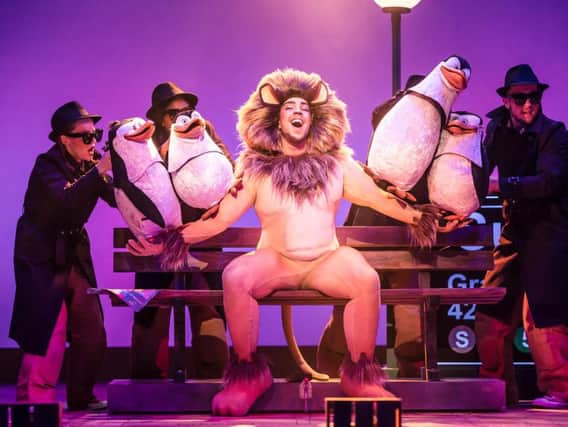 Matt Terry fronts the cast of Madagascar The Musical