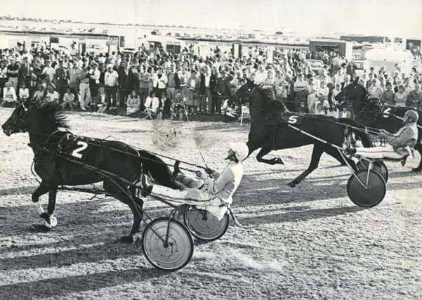 Trotting races, July 1984