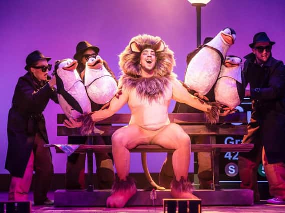 Matt Terry fronts the cast of Madagascar The Musical
