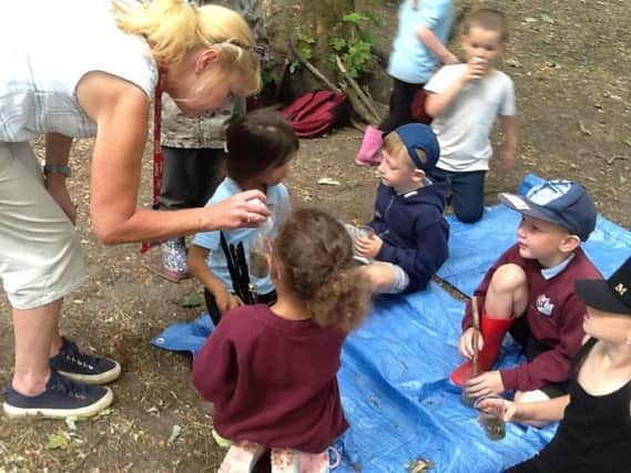 Marton Academy pupils enjoy the great outdoors in their forest school