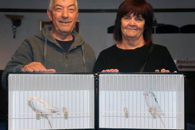 Ken and Val Shorthouse with two 'full circle' budgies.