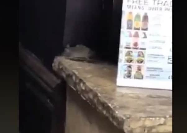 Mice allegedly seen at Wetherspoons in Fleetwood. Screen shot from a video posted online.