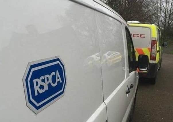 RSPCA officers were called to an address in Wigan