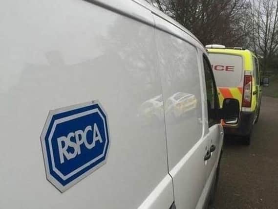 Animal cruelty and neglect: The Lancashire cases, how the RSPCA deals with them and the recent law changes