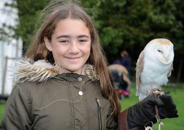 Wyre Estuary Country Park at Stanah held a family craft event.
11 year-old Desne Phillips meets Bob the Barn Owl from the Turbary Woods Owl and Bird of Prey Sanctuary.  PIC BY ROB LOCK
30-9-2018
