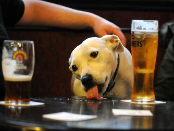 Should dogs be allowed in pubs?