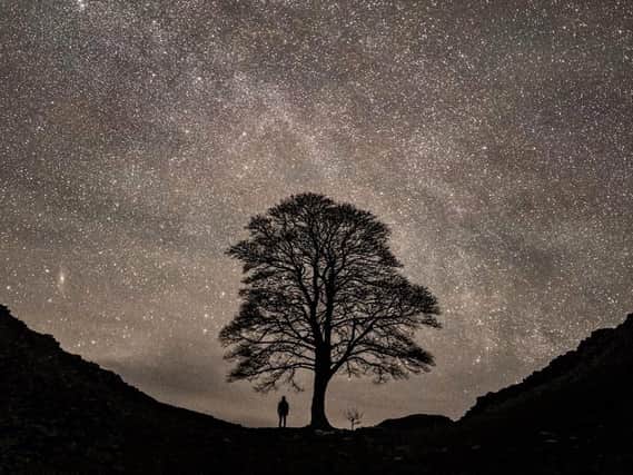 Mark McNeills picture of the stars