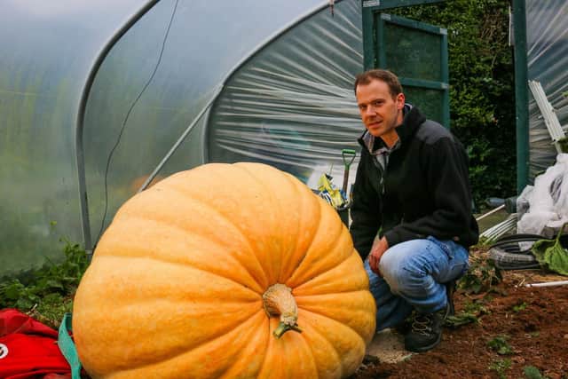 That is one massive pumpkin