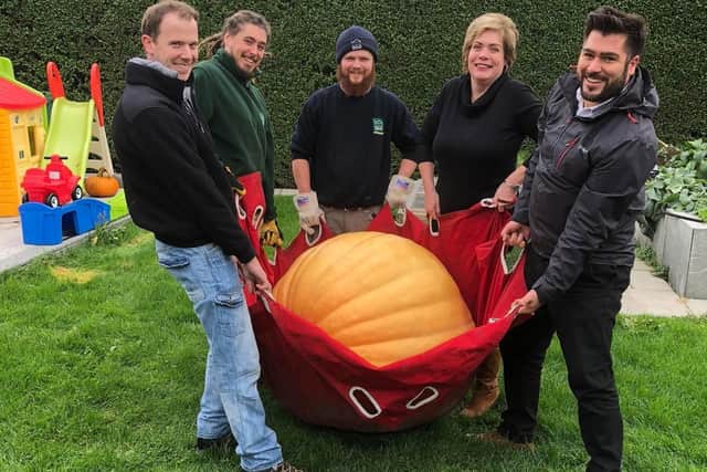 It took five people to lift the pumpkin into the van to take it to Blackpool Zoo