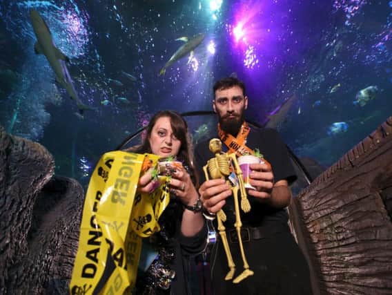 Sea Life Blackpool staff are warning people over plastic waste generated at Halloween which could end up in the ocean