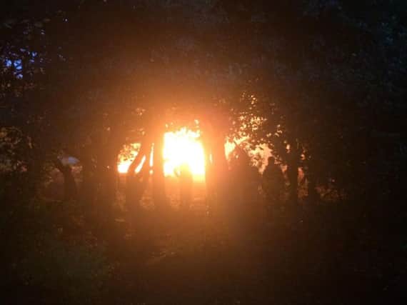 A fire off Ballam Road in Lytham spread to trees (Picture: Lytham Fire Station)