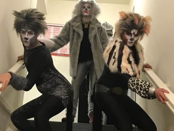 Lytham Academy of Theatre Arts - Cats