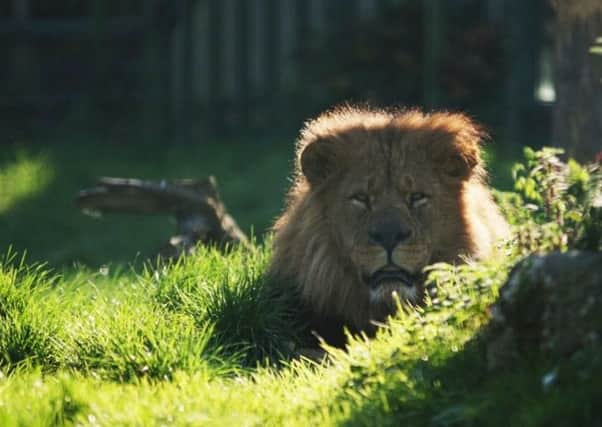 Blackpool Zoo is looking for images to be featured on its magnets next year (Picture: Michael Holmes)
