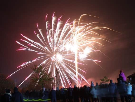 Fireworks should be restricted to organised displays