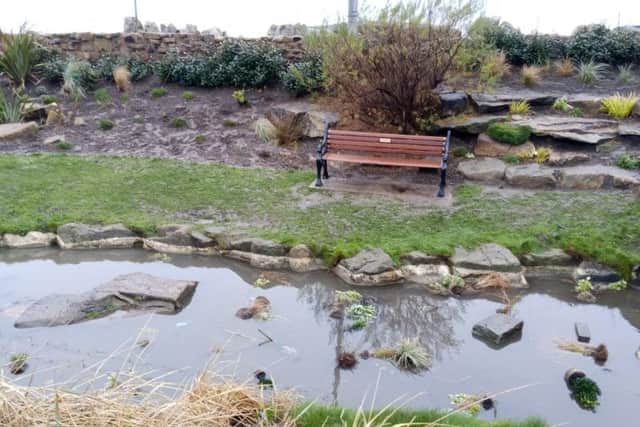 Plants were ripped up and thrown in the pond by vandals in Jubilee Gardens (Picture: Michael Higgins)