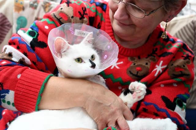 She was rescued from a wheelchair ramp on December 10.
