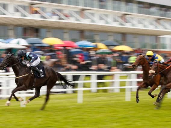 Lingfield stages an all-action meeting tomorrow