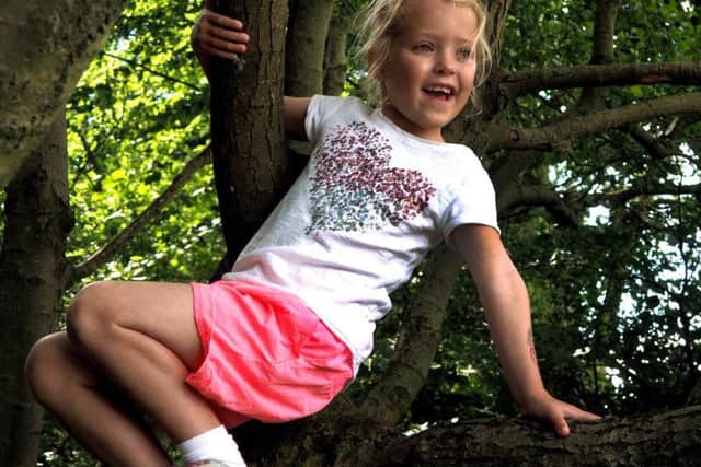Tree climbing features on a list of 50 activities the National Trust wants children to experience