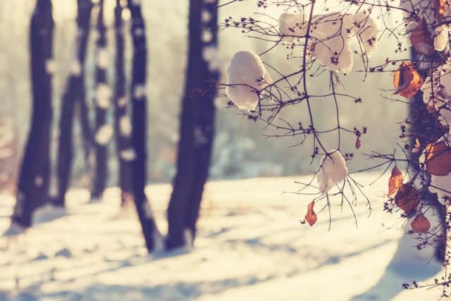 After a mild winter, the North West needs to ready itself for a serious drop in temperature