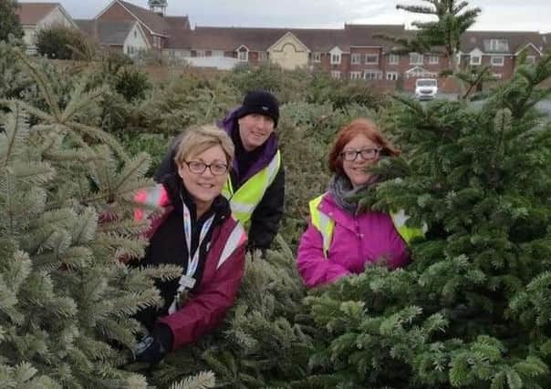 Trinity Hospices Janet Atkins, left, and volunteers Phil Sumner and Lisa Lancaster with collected Christmas trees