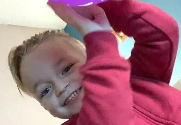 Three-and-a-half-year-old Alfie Lamb, who was crushed to death by an electric car seat because his mother's boyfriend was annoyed that he was making too much noise, a court at the Old Bailey in London heard