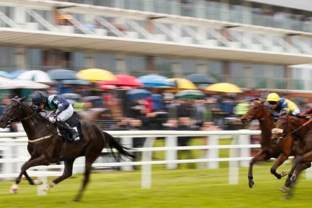 Lingfield stages an all-action meeting tomorrow