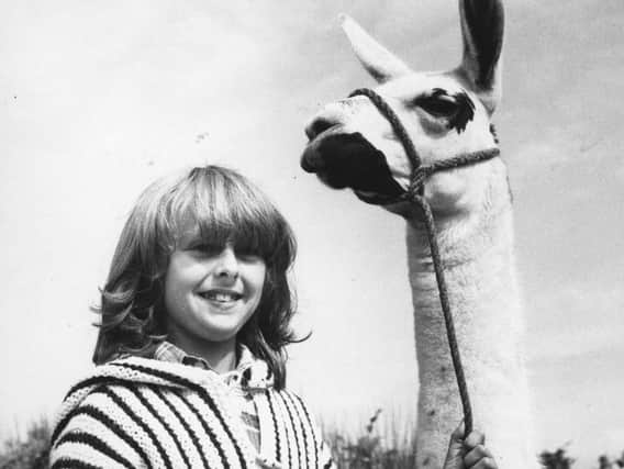 Blackpool Zoos 3 millionth visitor with a llama, in 1979