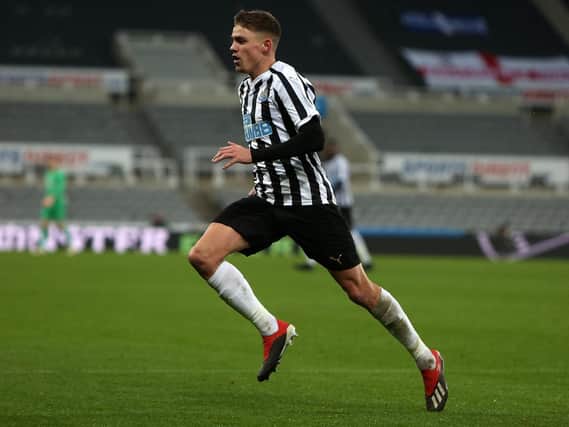 Blackpool are expected to confirm the loan signing of Newcastle United striker Elias Sorensen