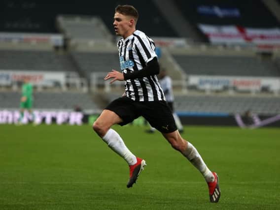 Striker Elias Sorensen has signed for Newcastle on loan