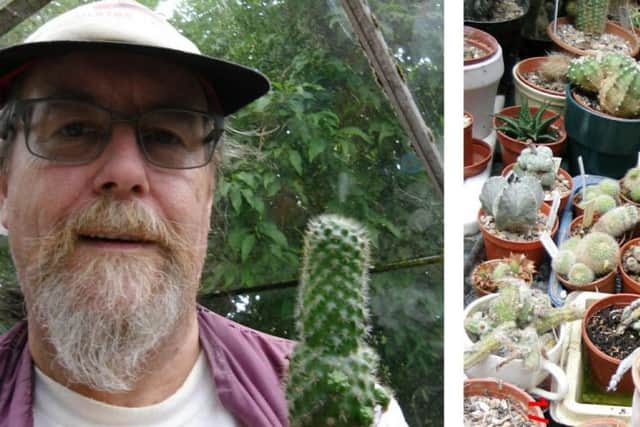 Steven Tingle and his cacti