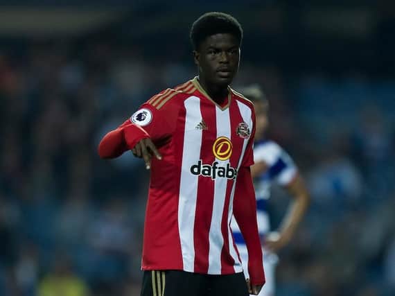 Sunderland's Josh Maja is wanted by a number of clubs