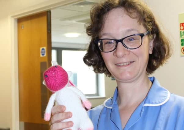 Elaine Simper with one of her knitted unicorns.
Elaine, who works in the Surgical Admissions Unit at Blackpool Victoria Hospital, is travelling to Zambia later this year to share her skills in a mission hospital in the country.
