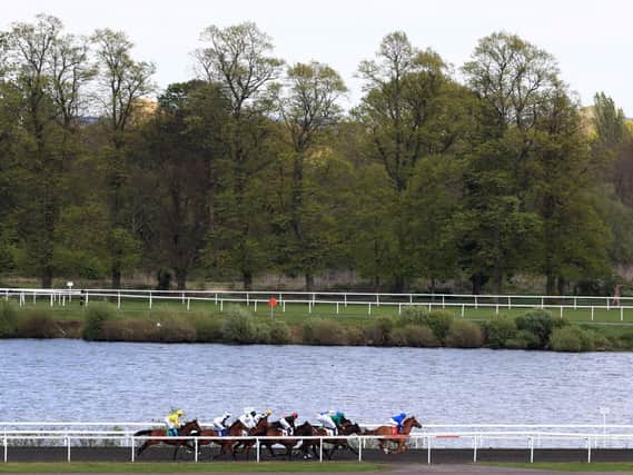 Matterhorn is our top tip for Kempton Park on Wednesday