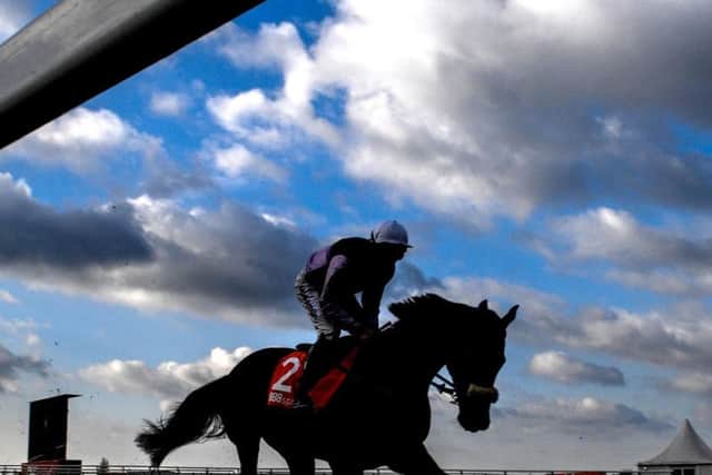Sandown stages an all-action Saturday meeting