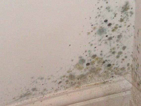 Mould can cause serious health problems