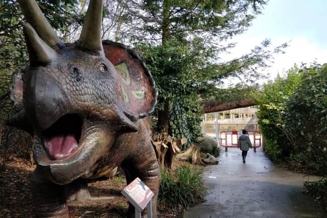 'Action Dinos' are to be placed in the existing Dinosaur Safari zone, which has been refurbished over the winter