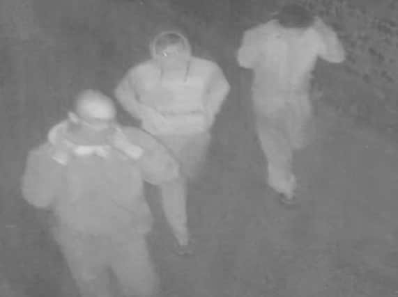 A CCTV image of the suspects