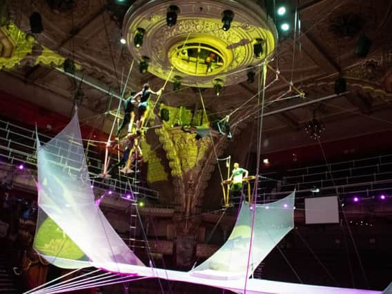 A stunning trapeze act in the new carnival show at the circus