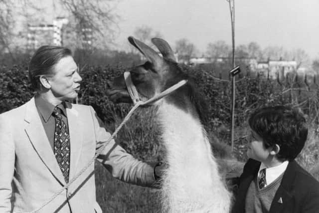 British naturalist and broadcaster David Attenborough shows Charlie the Llama to schoolboy Patrick Flynn, the millionth child to attend London Zoo's educational lectures and tours, in March 1980.