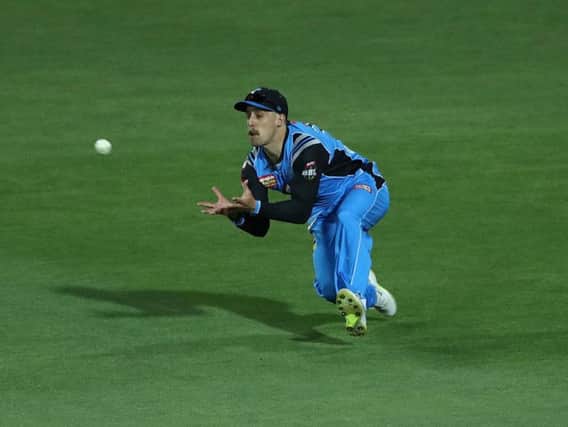 Jake Lehmann lines up a catch for Adelaide Strikers  Picture: GETTY IMAGES