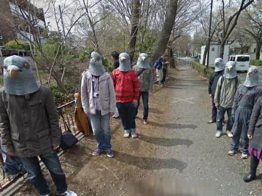 Google Street View once captured images of 8 people dressed as pigeons.