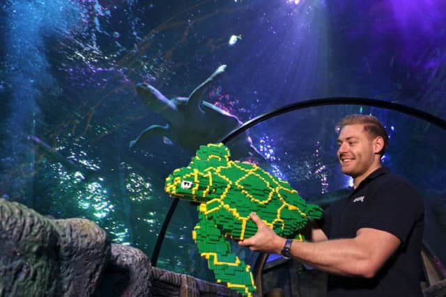 Lego at SEA LIFE Blackpool

Picture: Jason Lock

Further info: Rebecca Parr
Digital Marketing & PR Executive (Blackpool Cluster)
Office: 01253 629236
Mobile: 07557780591
Email: rebecca.parr@merlinentertainments.biz
Merlin Entertainments (Blackpool) Ltd | The Blackpool Tower | The Promenade |Blackpool |FY1 4BJ
www.theblackpooltower.co.uk  | www.facebook.com/theblackpooltower | www.twitter.com/TheBplTower

Full credit always required as stated in T&C's. PR and Press release use only, no further reproduction without prior permission.

Picture © Jason Lock Photography
+44 (0) 7889 152747
+44 (0) 161 431 4012
info@jasonlock.co.uk
www.jasonlock.co.uk