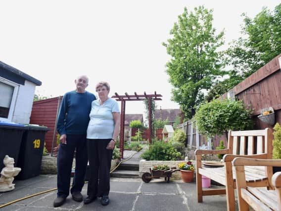 Tony and Linda Brown with the 60ft tree at their Dawlish Avenue home which is causing them health problems