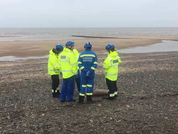 Fleetwood Coastguard staff with one of the porpoises