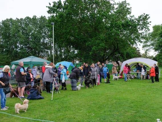The event was organised by Friends of Kingscote Park and Layton Community House.